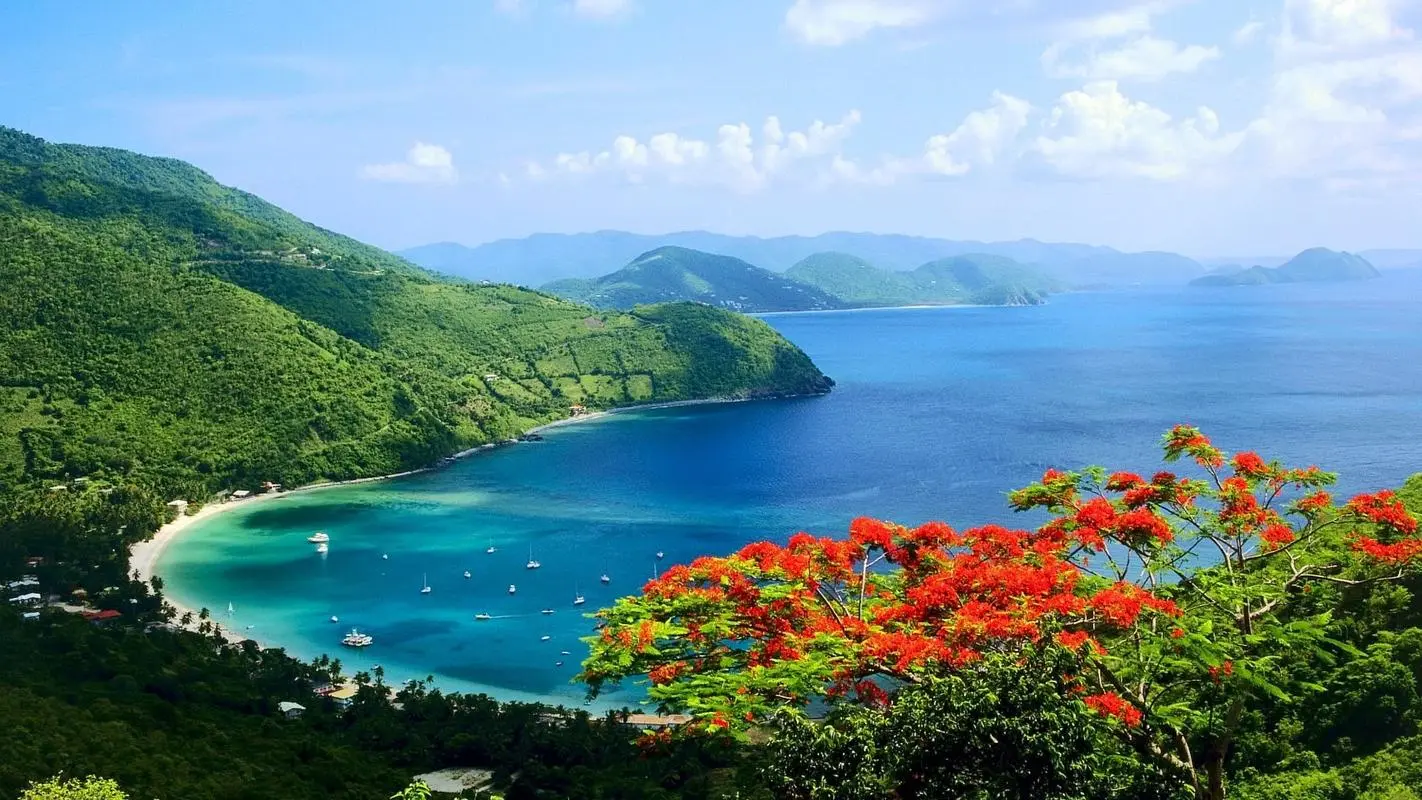 高标准信息化绿色
